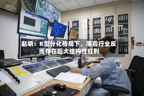 赵明：K型分化格局下，落后行业反而存在巨大结构性红利-第3张图片