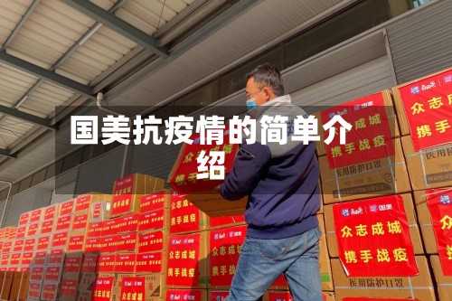 国美抗疫情的简单介绍-第2张图片