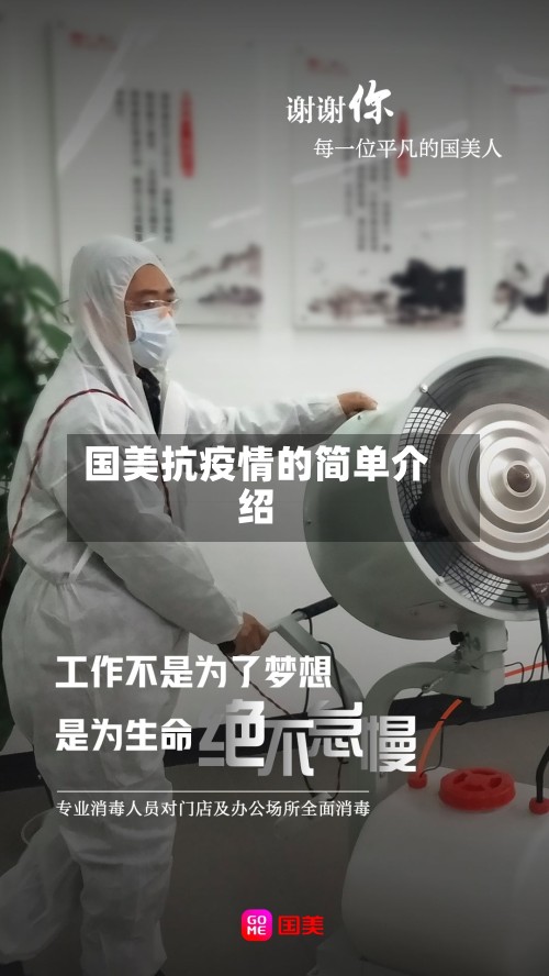 国美抗疫情的简单介绍-第3张图片