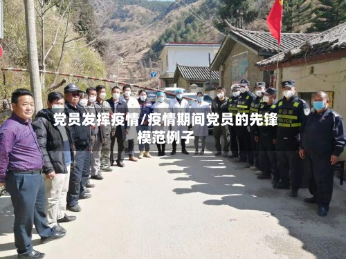党员发挥疫情/疫情期间党员的先锋模范例子