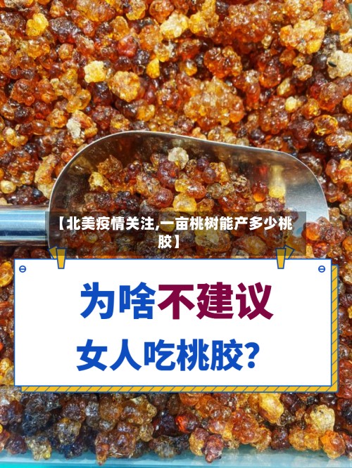 【北美疫情关注,一亩桃树能产多少桃胶】-第2张图片