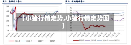 【小猪行情走势,小猪行情走势图】