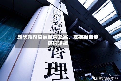 康欣新材突遭监管立案，定期报告涉信披违规-第2张图片