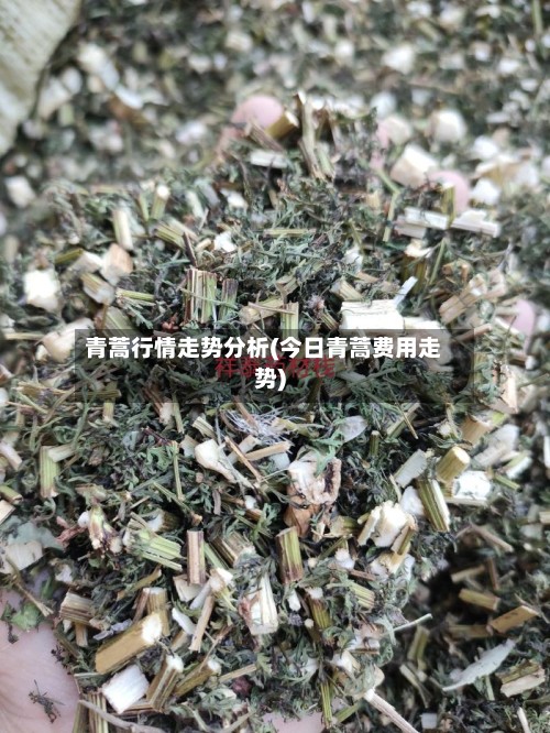 青蒿行情走势分析(今日青蒿费用走势)