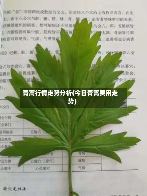 青蒿行情走势分析(今日青蒿费用走势)-第2张图片