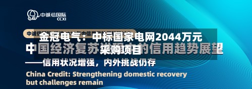 金冠电气：中标国家电网2044万元采购项目