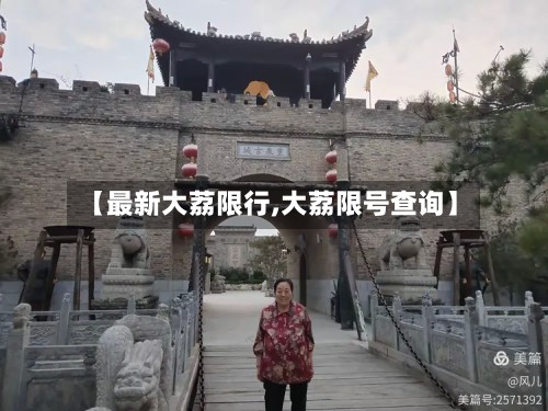 【最新大荔限行,大荔限号查询】