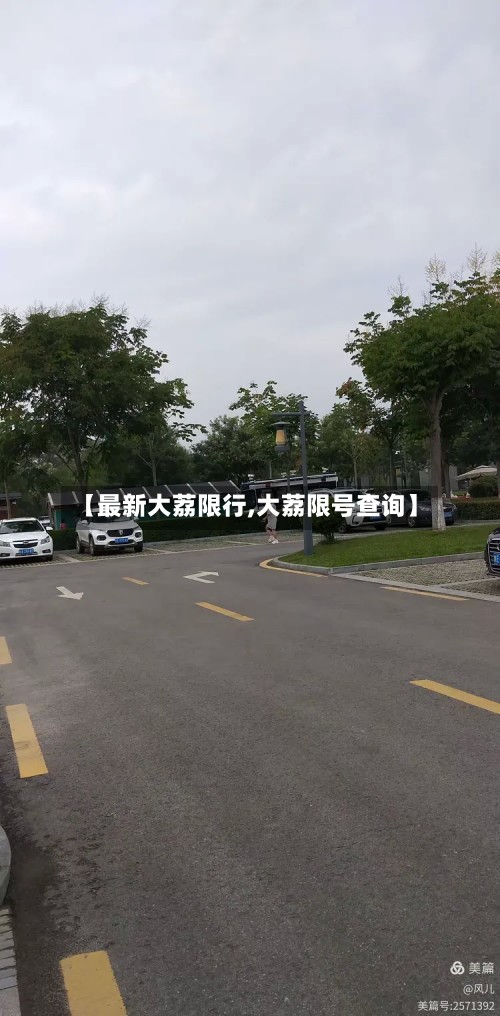 【最新大荔限行,大荔限号查询】-第2张图片