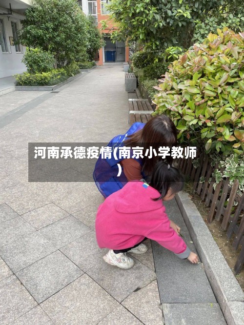 河南承德疫情(南京小学教师)