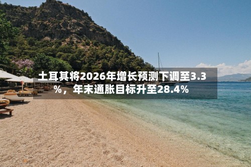 土耳其将2026年增长预测下调至3.3%，年末通胀目标升至28.4%-第2张图片