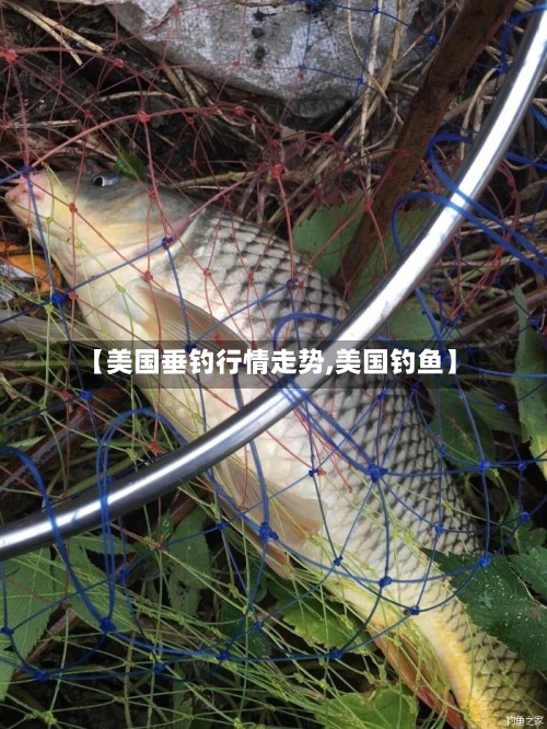 【美国垂钓行情走势,美国钓鱼】