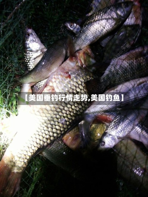 【美国垂钓行情走势,美国钓鱼】-第2张图片