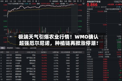 极端天气引爆农业行情！WMO确认超强厄尔尼诺，种植链再掀涨停潮！-第3张图片