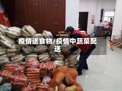 疫情送食物/疫情中蔬菜配送-第2张图片