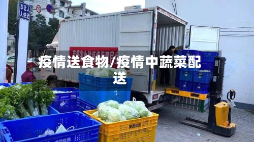 疫情送食物/疫情中蔬菜配送-第3张图片