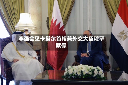 李强会见卡塔尔首相兼外交大臣穆罕默德
