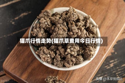 猫爪行情走势(猫爪草费用今日行情)