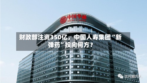 财政部注资350亿，中国人寿集团“新弹药”投向何方？-第2张图片