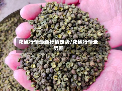 花椒行情最新行情走势/花椒行情走势图-第2张图片
