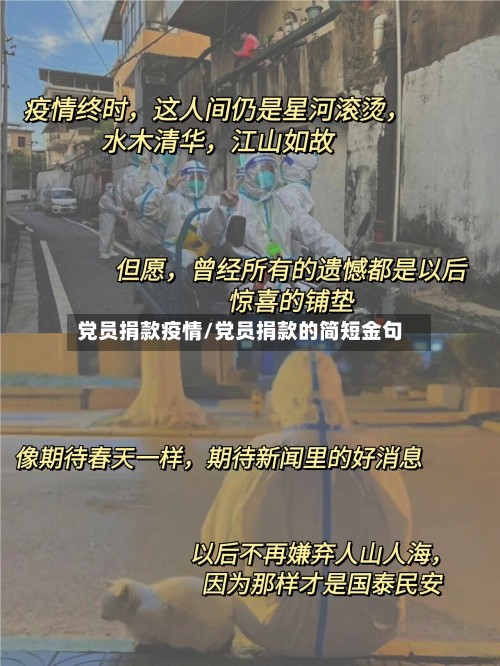 党员捐款疫情/党员捐款的简短金句-第3张图片