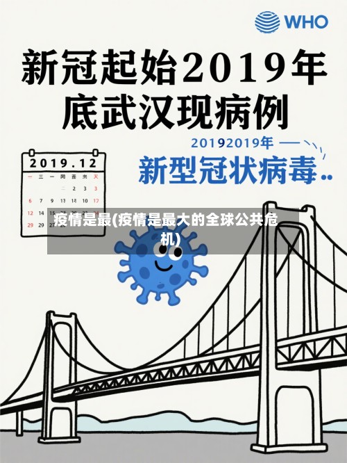 疫情是最(疫情是最大的全球公共危机)