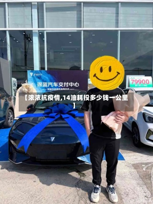 【浓浓抗疫情,14油耗投多少钱一公里】