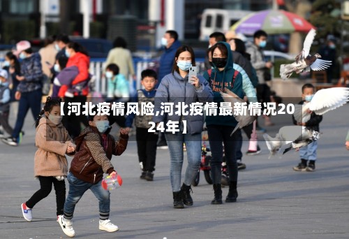 【河北疫情风险,河北疫情最新情况2024年】-第2张图片