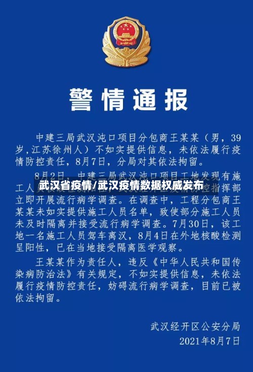 武汉省疫情/武汉疫情数据权威发布-第2张图片
