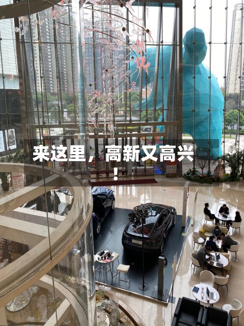 来这里，高新又高兴！
