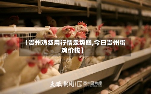 【贵州鸡费用行情走势图,今日贵州蛋鸡价钱】-第2张图片