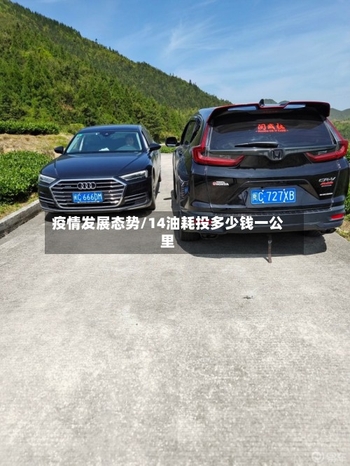 疫情发展态势/14油耗投多少钱一公里