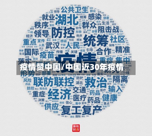 疫情赞中国/中国近30年疫情