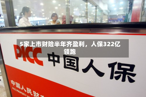 5家上市财险半年齐盈利，人保322亿领跑-第2张图片